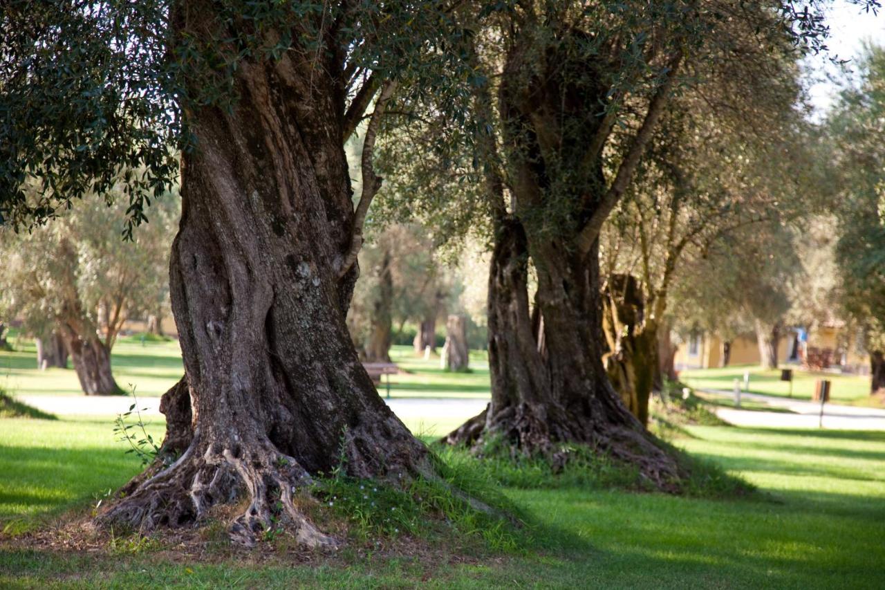 Uliveto Principessa Resort Cittanova  Buitenkant foto