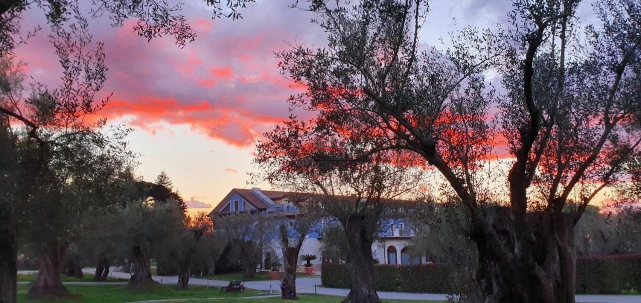 Uliveto Principessa Resort Cittanova  Buitenkant foto